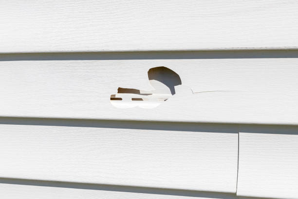 Best Stucco Siding  in Madison, NJ
