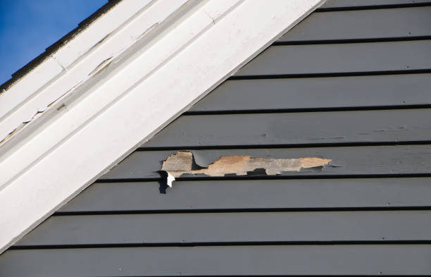 Best Aluminum Siding Installation  in Madison, NJ