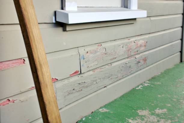 Best Stone Veneer Siding  in Madison, NJ
